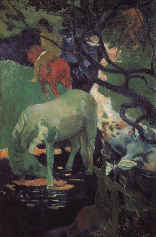 Paul Gauguin Whitehorse China oil painting art